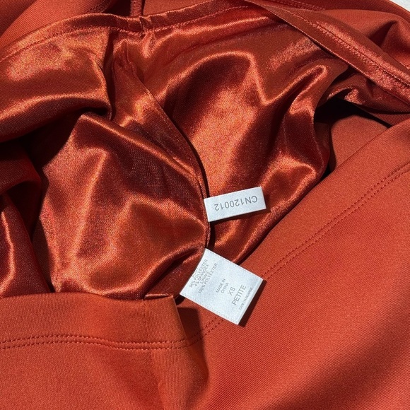 New York & Company Stretch Knee Length Burnt Orange Dress XS Petite - Picture 3 of 8
